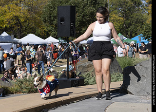 2024 Tour de Corgi - contest