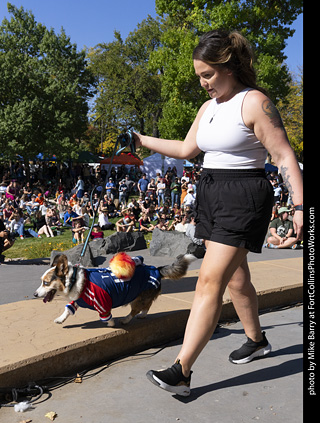 2024 Tour de Corgi - contest