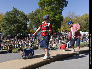 2024 Tour de Corgi - contest