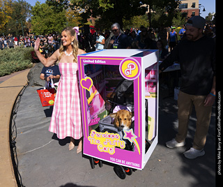 2024 Tour de Corgi - contest