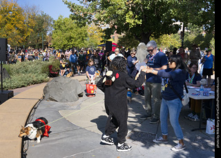 2024 Tour de Corgi - contest