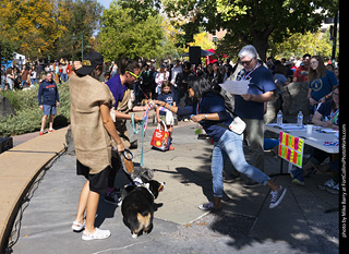 2024 Tour de Corgi - contest