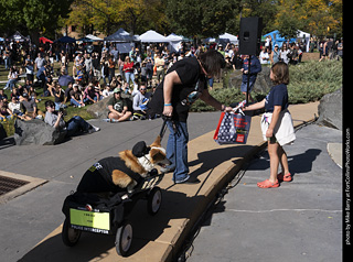 2024 Tour de Corgi - contest