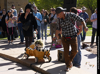 2024 Tour de Corgi - contest