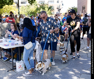 2024 Tour de Corgi - contest