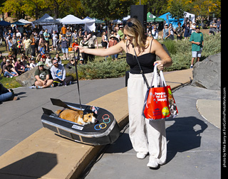 2024 Tour de Corgi - contest