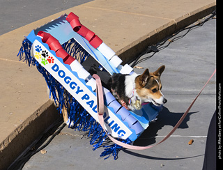 2024 Tour de Corgi - contest