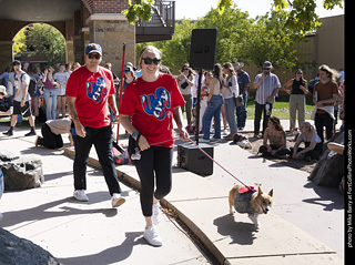 2024 Tour de Corgi - contest