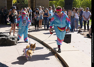 2024 Tour de Corgi - contest