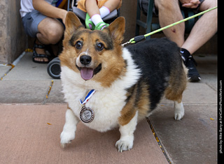 2024 Tour de Corgi - tour