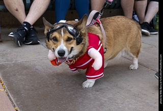 2024 Tour de Corgi - tour