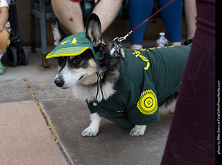 2024 Tour de Corgi - tour