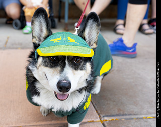 2024 Tour de Corgi - tour