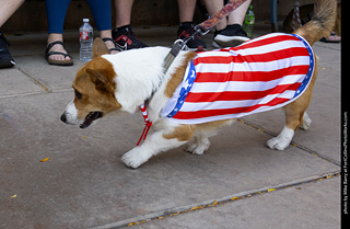 2024 Tour de Corgi - tour