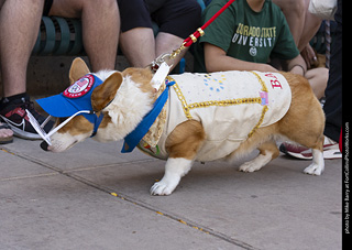 2024 Tour de Corgi - tour