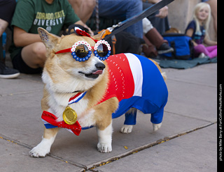 2024 Tour de Corgi - tour