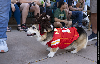 2024 Tour de Corgi - tour