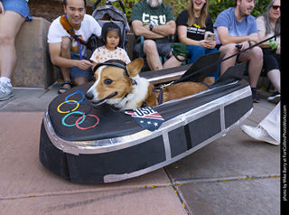 2024 Tour de Corgi - tour