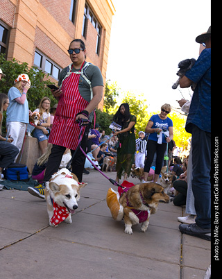 2024 Tour de Corgi - tour