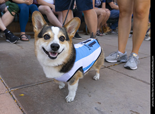 2024 Tour de Corgi - tour