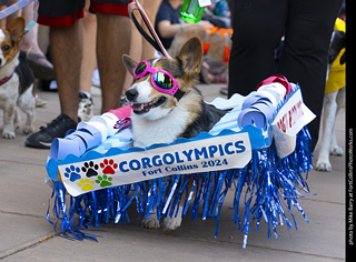 2024 Tour de Corgi - tour