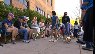 2024 Tour de Corgi - tour