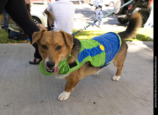 2024 Tour de Corgi - tour