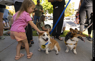 2024 Tour de Corgi - tour