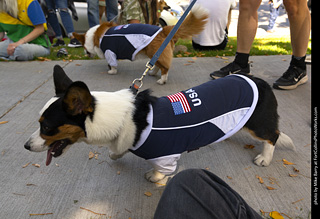 2024 Tour de Corgi - tour