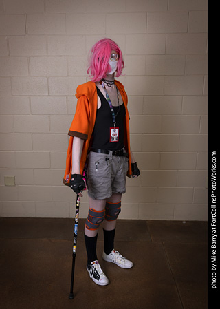 Wicked West Comic Expo 2025