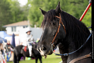 Knights of Mayhem at CMF 2025