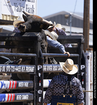 Never Summer Rodeo 2025