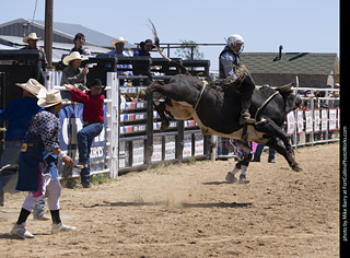 Never Summer Rodeo 2025