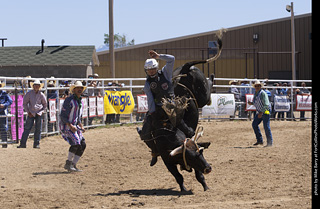 Never Summer Rodeo 2025