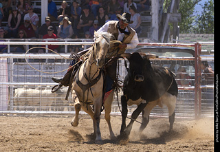 Never Summer Rodeo 2025