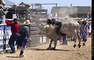 Never Summer Rodeo 2025