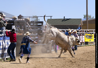 Never Summer Rodeo 2025