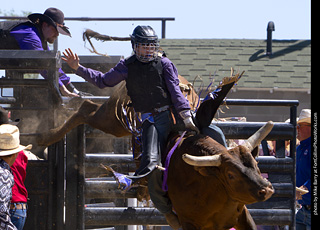 Never Summer Rodeo 2025