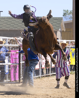 Never Summer Rodeo 2025