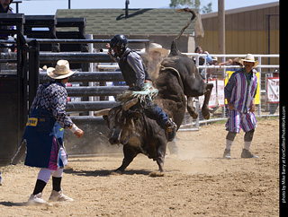 Never Summer Rodeo 2025