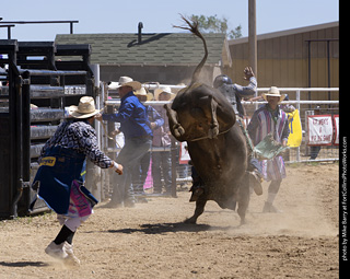 Never Summer Rodeo 2025