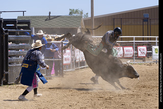 Never Summer Rodeo 2025