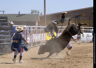 Never Summer Rodeo 2025