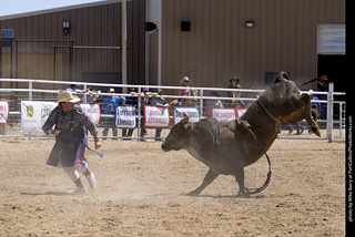 Never Summer Rodeo 2025