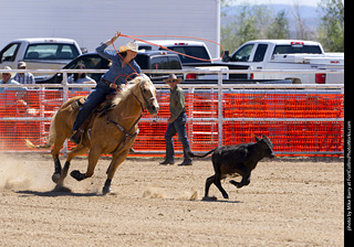 Never Summer Rodeo 2025