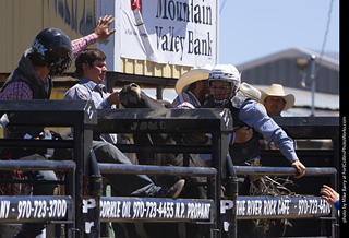 Never Summer Rodeo 2025