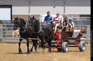 Draft Horse Show at LCF 2025
