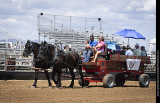 Draft Horse Show at LCF 2025
