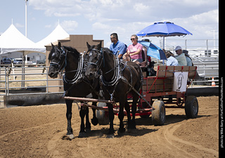 Draft Horse Show at LCF 2025