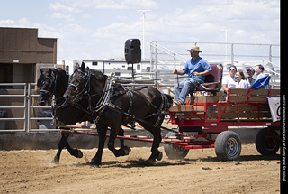 Draft Horse Show at LCF 2025